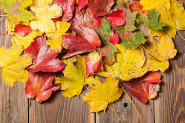 Naklejka na ściany i meble Autumn leaves on table