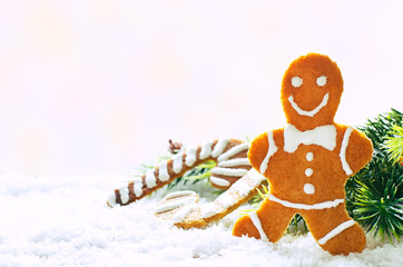 ginger biscuits and a branches of a Christmas tree