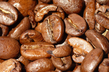 Kaffeebohnen-Nahaufnahme/Hintergrund