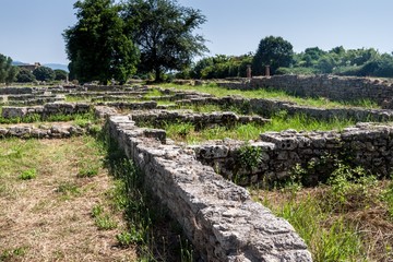 Fototapeta na wymiar Ruins of ancient greek city Paestum