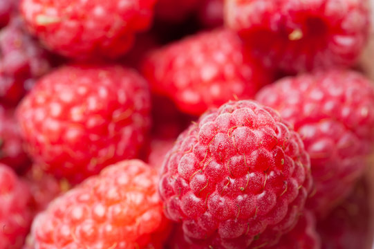 sweet raspberry fruit