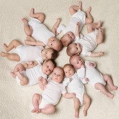 babies on a light background