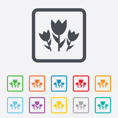 Flowers sign icon. Roses symbol.