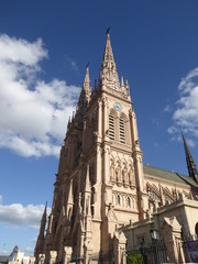 Fototapeta na wymiar Basilica Nuestra Señora de Lujan, Buenos Aires, Argentina