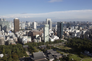 Fototapeta na wymiar amazing tokyo skyline