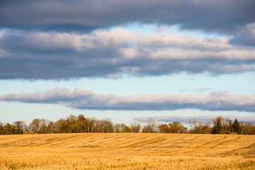 Fototapeta premium Autumn colored countryside landscape