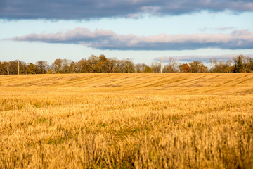 Autumn colored countryside landscape