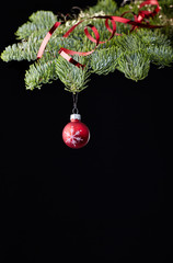 christmas tree ball red black
