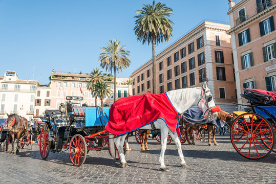 Horses and Carriages Piazza di Spagna, Rome Italy