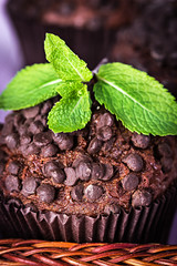 Homemade chocolate muffins in paper cupcake holder