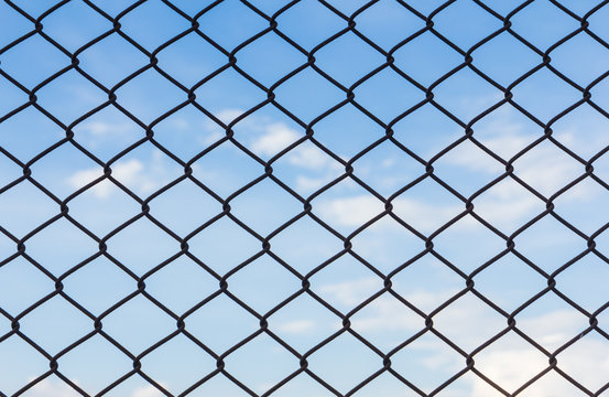 wire fance