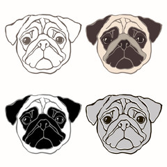 Vector set of  pug's face. Hand-drawn vector illustration. Sketc