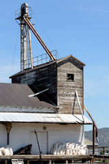 Obraz premium Seed Bags