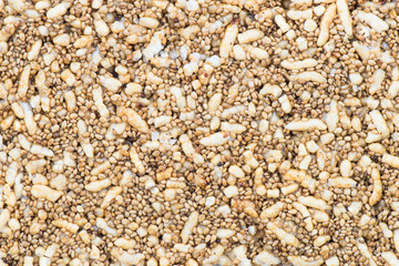 Dessert Poppy seeds background