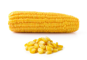 corn isolated on white background