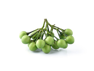 Fresh turkey berry on white background.
