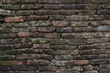 Texture of old stone wall covered green moss
