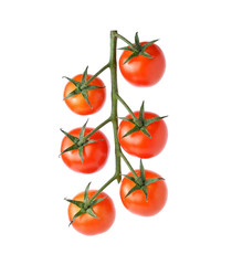 Tomato isolated on white background