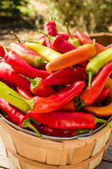 Wooden basket full of hot peppers