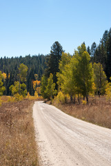 Fototapeta na wymiar Dirt road in Grand Tetons National Park