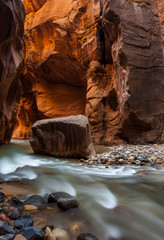 Wall street in the Narrows, Zion National Park, Utah