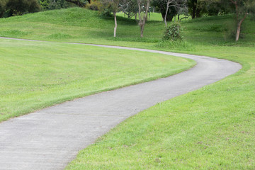 pathway on green grass garden