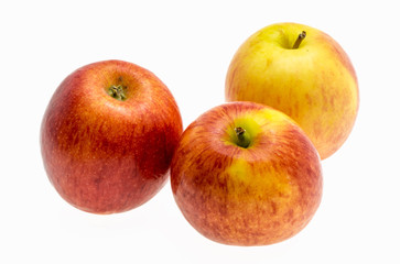 gala apples over white background
