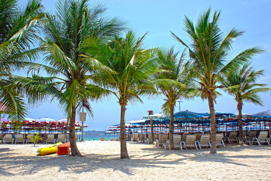 Sun umbrellas and beach chairs on tropical coastline, Thailand