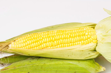 Corn isolated on a white background