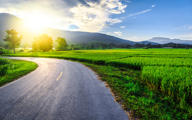 Green Rice Field with Mountains Background under Blue Sky