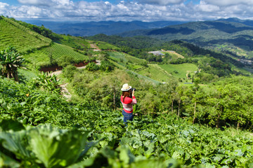 Obraz premium Young red shirt girl shooting photo in cabbage filed on tropical