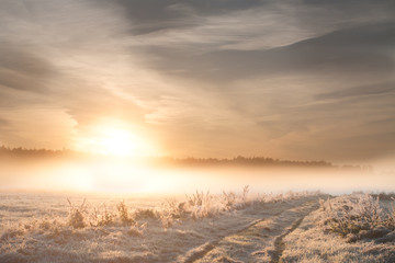 Frosty Sunrise. Landscape photo.