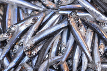 sardines sur un étal