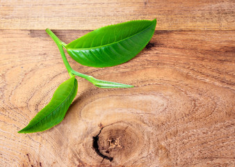 Green tea leaf on wooden