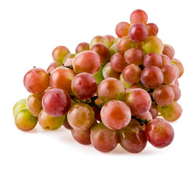Vine