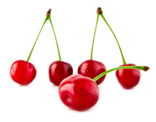 cherry