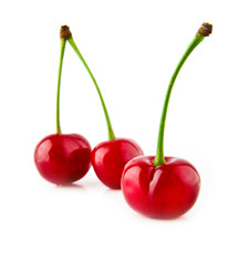 cherry