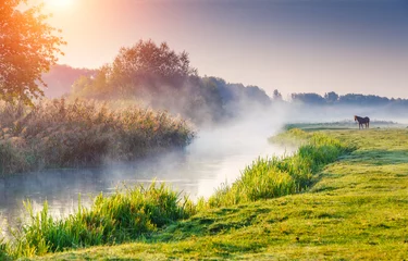 Deurstickers foggy river © Leonid Tit