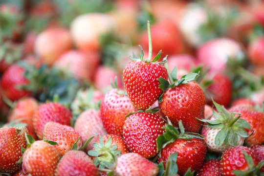 Sweet ripe strawberries close-up