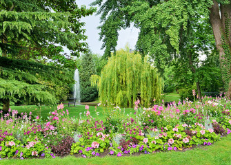 City garden in Epernay, Champagne-Ardenne - 72593274