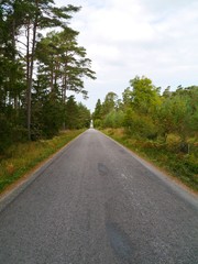 Fototapeta na wymiar A road in perspective on the Island Gotland in Sweden
