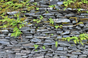 Typical wall in village built from shiste stones - 72593690