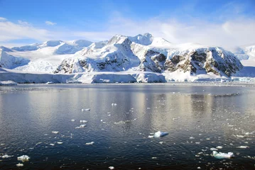 Zelfklevend Fotobehang ice floes in antarctic ocean © fivepointsix