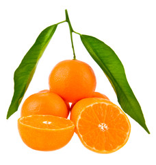 mandarines