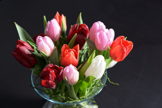 Different tulips in glass vase on dark background