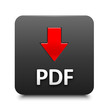 PDF Web Button (now free buy online download)