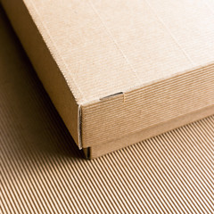 Cardboard Box