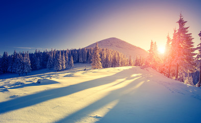 Beautiful winter landscape