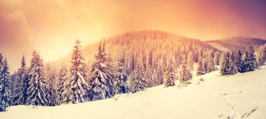 Beautiful winter landscape