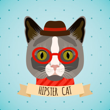 Hipster cat portrait